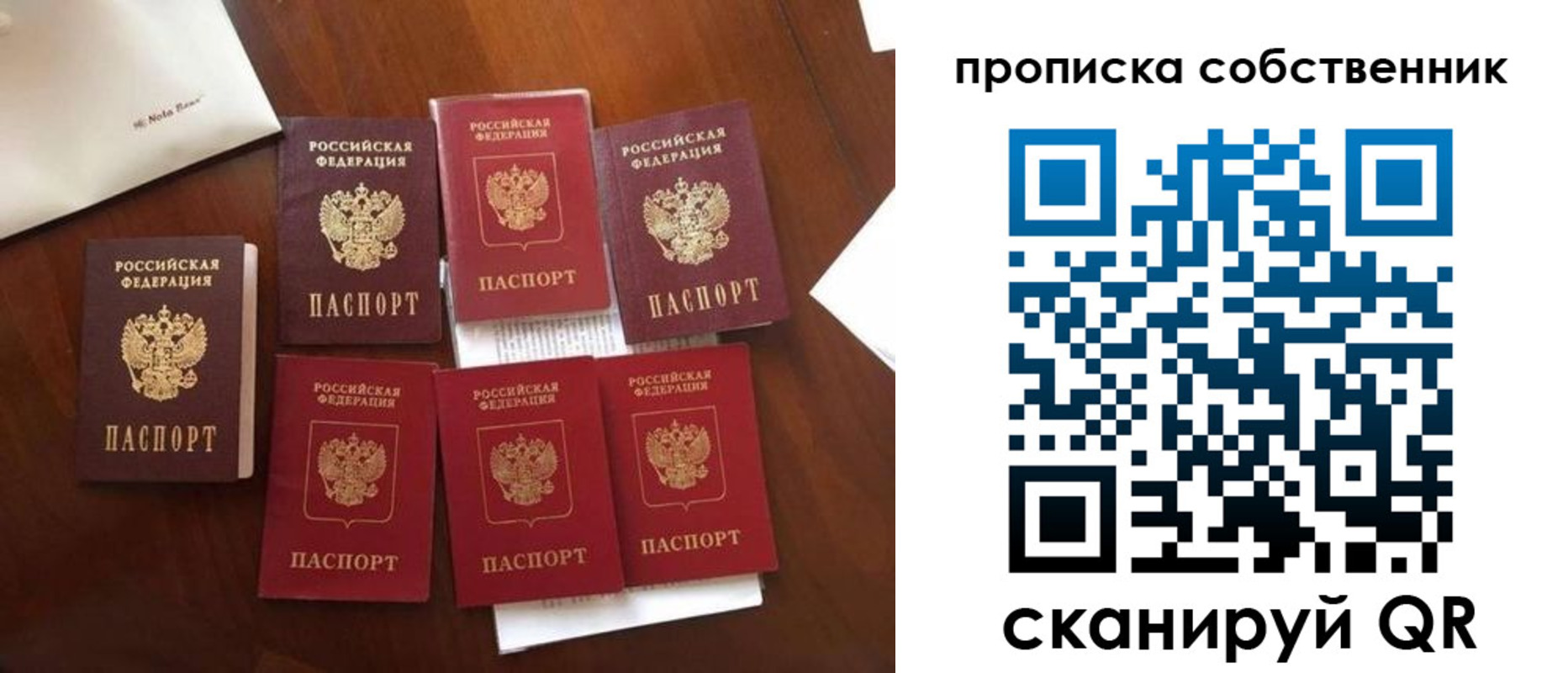 прописка для школы в Алейске